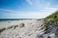 Beach and Dunes Ã¢â¬â Summer in the Hamptons